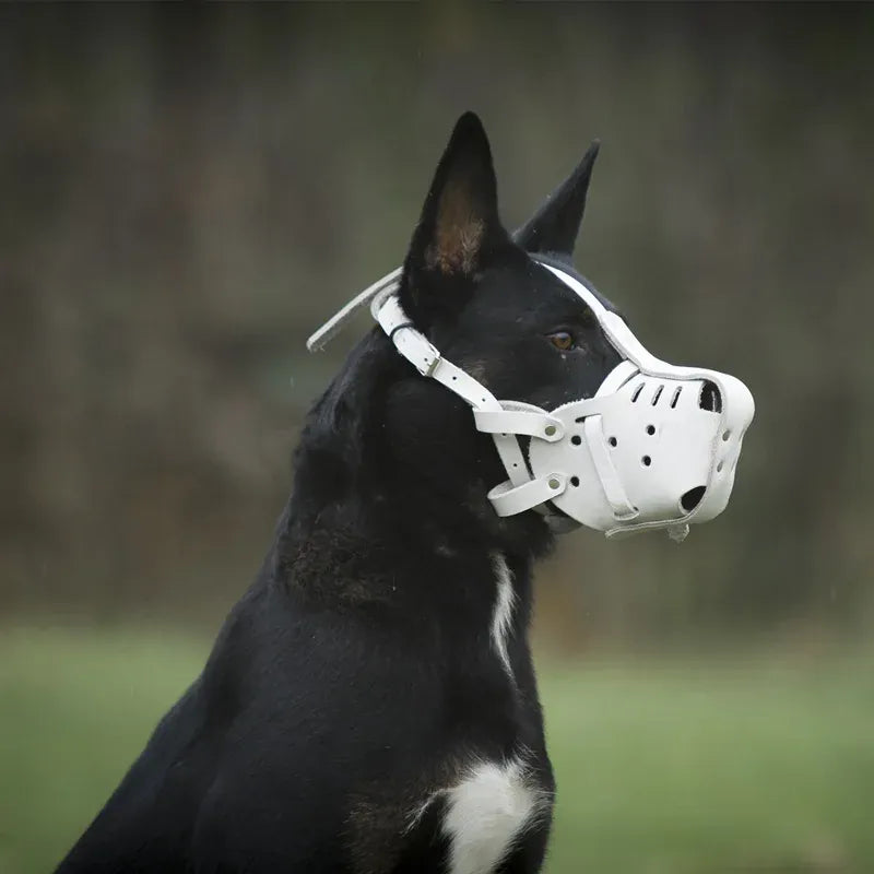 Kangdarpet Leather Dog Muzzle - Bite-Proof Training Cage for Large Breeds