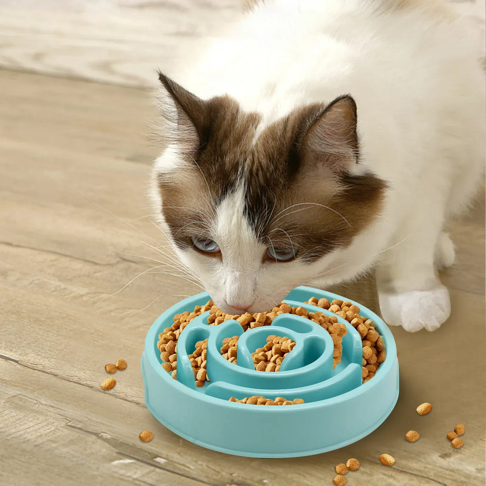 Maze Pattern Slow Feeder Bowl - Anti-Gulping Puzzle Dish for Dogs & Cats