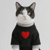 Medium Cat Sweater & Small Dog Hoodie | Winter Warm Thickened Pet Clothes | Cute Puppy Bipedal Outfit for Yorkie & Taddy