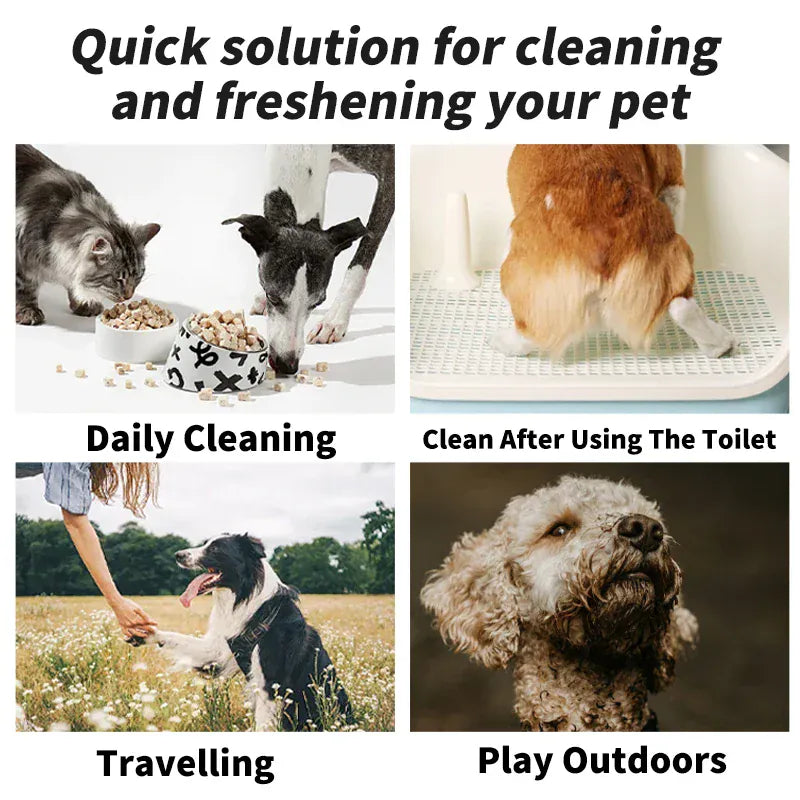 Multi Purpose Pet Wipes for Dogs CatMulti-Purpose Pet Wipes – Plant-Based Deodorizer | Sensitive Skin Care for Dogs & Cats | Odor & Dirt Remover for Paws, Ears & Bodys Plant Based Deodorizer Sensitive Skin Care and Odor Remover for Paws Ears and Body