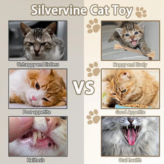 Natural Catnip Chew Sticks - Dental Health Cat Toys Silvervine Matatabi Cat Treats