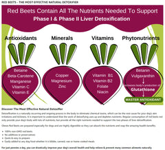 Natural Dehydrated Carrots & Red Beets Dog Food Supplement | Rich in Fiber, Vitamins & Antioxidants | Boosts Digestion, Skin & Coat Health