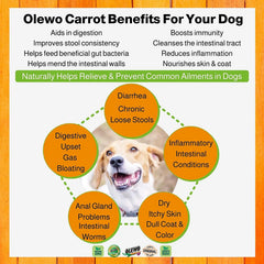Natural Dehydrated Carrots & Red Beets Dog Food Supplement | Rich in Fiber, Vitamins & Antioxidants | Boosts Digestion, Skin & Coat Health