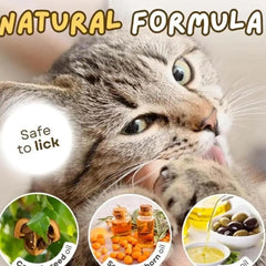 Paw Print Cat Treats - Natural Freeze-Dried Dental Health Snacks