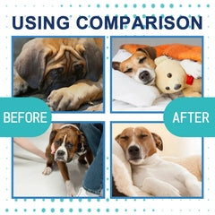 Pet Calming Care Liquid - Natural Anxiety Relief for Cats & Dogs, Stress Reduction Drops for Travel, Storms & Separation Anxiety