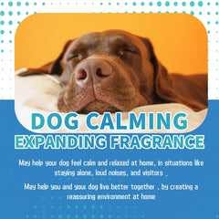 Pet Calming Care Liquid - Natural Anxiety Relief for Cats & Dogs, Stress Reduction Drops for Travel, Storms & Separation Anxiety