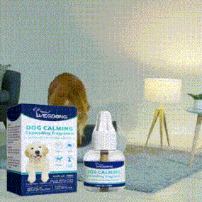 Pet Calming Care Liquid - Natural Anxiety Relief for Cats & Dogs, Stress Reduction Drops for Travel, Storms & Separation Anxiety