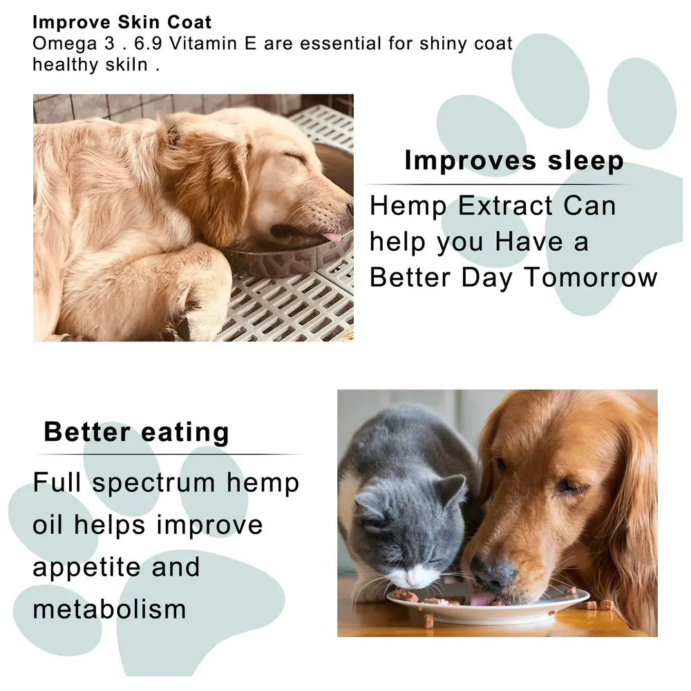 Pet Care Skin Relief Cream for Dogs & Cats | Anti-Itch Soothing Lotion | Dry Skin & Paw Repair Balm | Safe Moisturizer for Pets