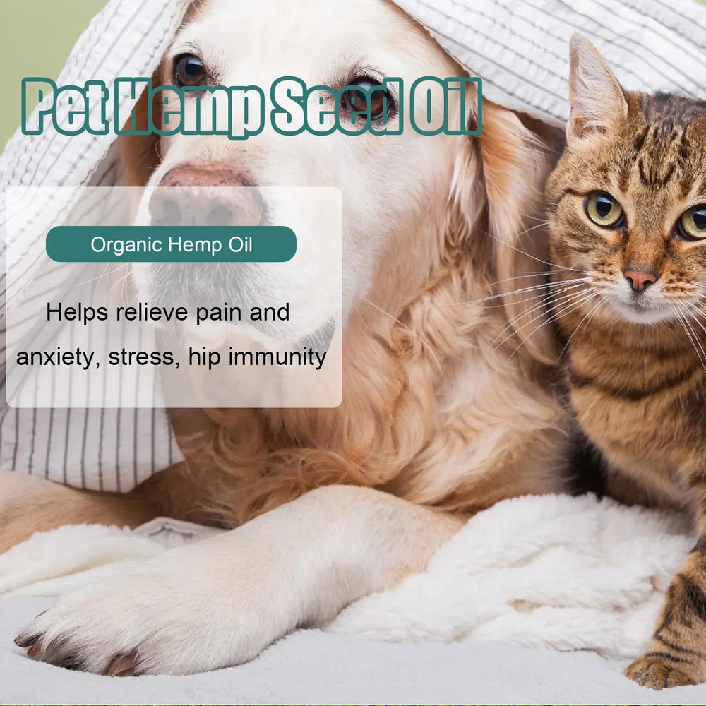 Pet Care Skin Relief Cream for Dogs & Cats | Anti-Itch Soothing Lotion | Dry Skin & Paw Repair Balm | Safe Moisturizer for Pets