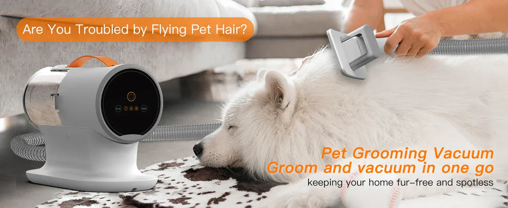 Pet Grooming Vacuum Kit - 12000Pa Dog Hair Vacuum with 5 Tools & 2L Capacity