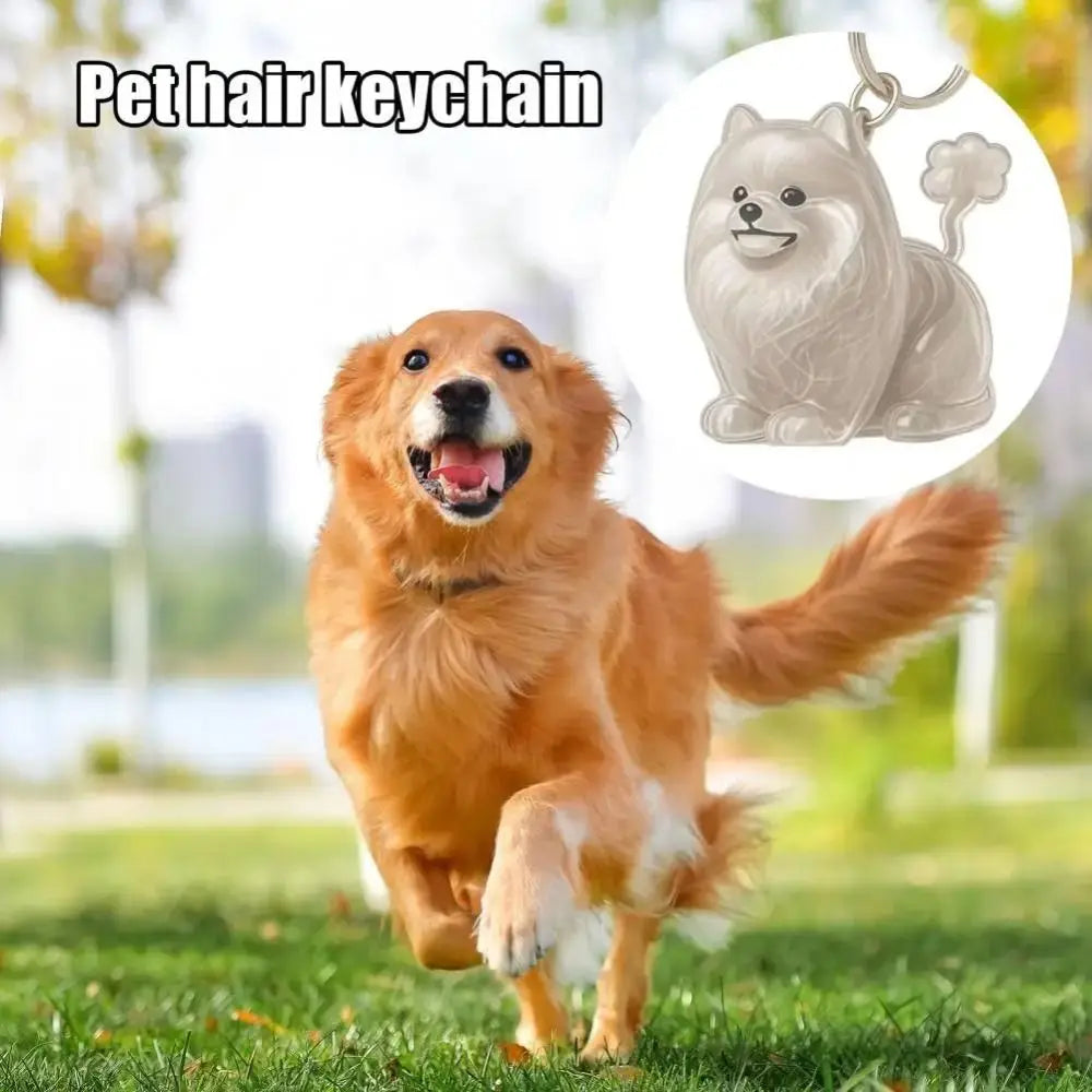 Pet Hair Memorial Keychain - DIY Dog Hair Storage Jewelry Gift