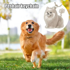 Pet Hair Memorial Keychain - DIY Dog Hair Storage Jewelry Gift