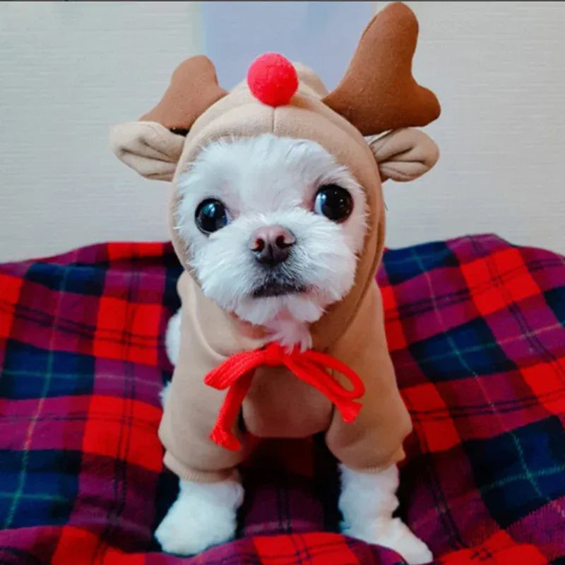 Pet Hoodie Sweater - Winter Pullover with Sports & Animal Designs