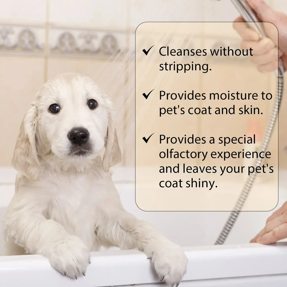 Pet Shampoo for Dogs & Cats - 100ml/300ml Flea Killer & Mite Removal, Deodorizing Itch Relief with Moisturizing Formula, Hair Softening Wash