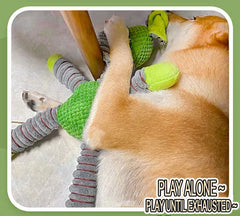 Plush Dog Toy Soft Toy with Squeaker | Interactive Chew Toy for Puppies & Dogs | Fun Pet Toy GWJ05