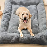 Orthopedic memory foam dog bed supporting joints and hips