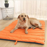 Waterproof dog bed protecting against mud, spills, and moisture