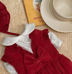 Princess Bow Dress Set - Winter Corduroy Dog Dress with Bow Clip