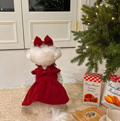 Princess Bow Dress Set - Winter Corduroy Dog Dress with Bow Clip