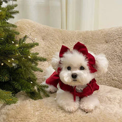 Princess Bow Dress Set - Winter Corduroy Dog Dress with Bow Clip