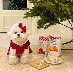 Princess Bow Dress Set - Winter Corduroy Dog Dress with Bow Clip