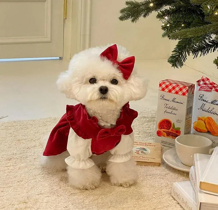 Princess Bow Dress Set - Winter Corduroy Dog Dress with Bow Clip