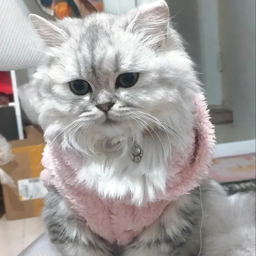 Rabbit Ears Cat Hoodie | Cute Winter Warm Pet Coat for Cats & Small Dogs | Soft Fleece Sphynx Outfit