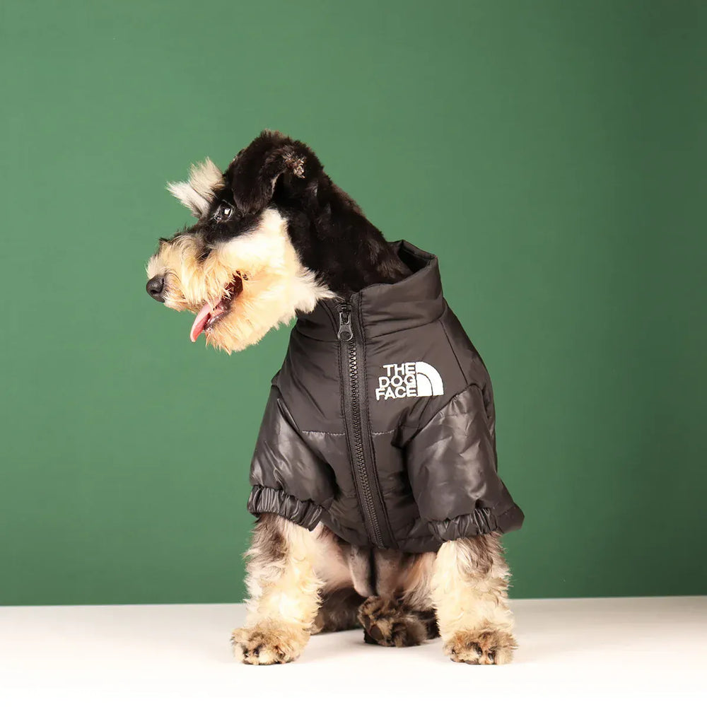 Reflective Winter Dog Jacket | Windproof Warm Coat for French Bulldogs, Chihuahuas & Medium Dogs | Waterproof Pet Outfits