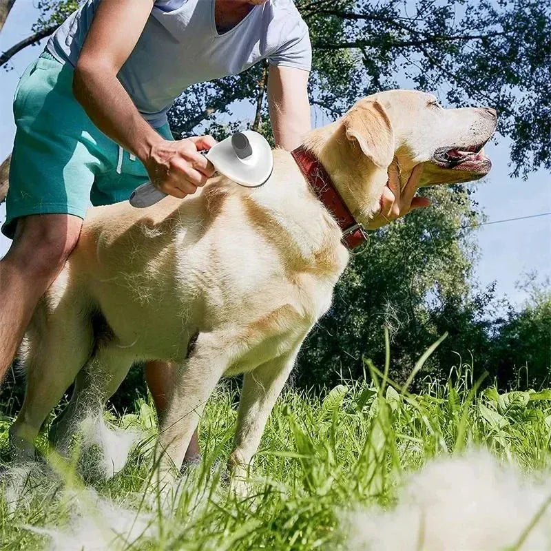 Self-Cleaning Dog Grooming Brush – Pet Massage Slicker Brush with Easy Hair Release Button