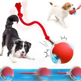 Smart Interactive Pet Ball - Automatic Rolling Rechargeable Toy for Dogs Cats