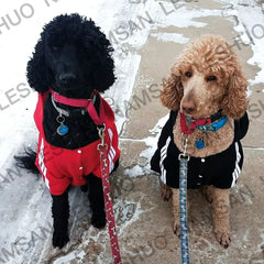 Sports Dog Hoodie - Fashion Striped Hoodie for Medium & Large Dogs