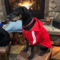 Sports Dog Hoodie - Fashion Striped Hoodie for Medium & Large Dogs