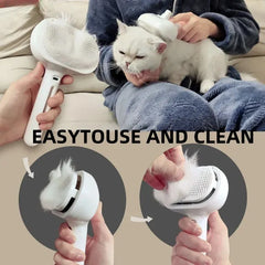 Steam Grooming Comb for Pets – Mist Spray Brush to Remove Tangles & Floating Hair for Dogs & Cats