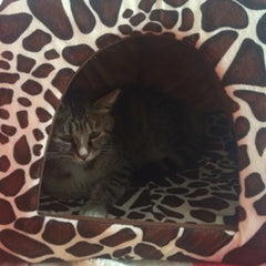 Strawberry Pet House - Foldable Warm Cave Bed for Small Dogs & Cats