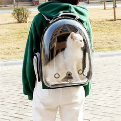 Transparent Cat Carrier Backpack – Bubble Window Pet Travel Bag for Small Dogs & Cats