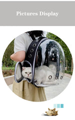 Transparent Cat Carrier Backpack – Bubble Window Pet Travel Bag for Small Dogs & Cats