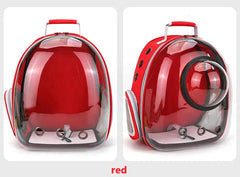 Transparent Cat Carrier Backpack – Bubble Window Pet Travel Bag for Small Dogs & Cats