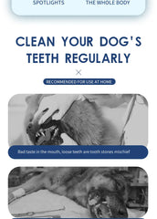Ultrasonic Electric Dog Toothbrush | Professional Pet Plaque & Tartar Remover | Teeth Whitening & Dental Care