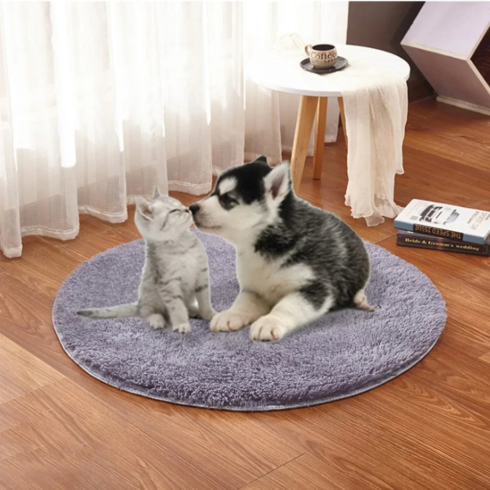 USB Electric Pet Heating Pad - Constant Temperature 28°C Winter Warm Bed for Cats & Small Dogs, Portable Plush Heating Mat