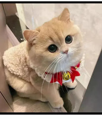 Warm Lambhair Fleece Cat Clothes | Soft Cozy Winter Vest for Cats & Puppies | Kitten Jacket Coat | Pet Sphynx Costume Sweater 고양이
