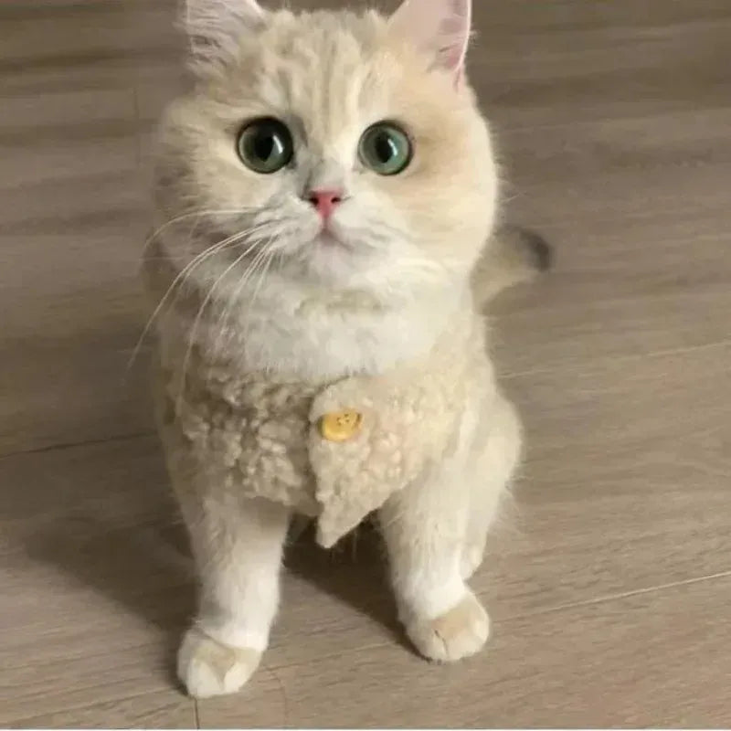 Warm Lambhair Fleece Cat Clothes | Soft Cozy Winter Vest for Cats & Puppies | Kitten Jacket Coat | Pet Sphynx Costume Sweater 고양이
