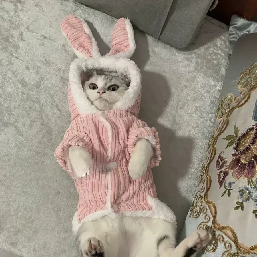 Warm Winter Bunny Cat Clothes | Cute Kitten Coat for Cats & Puppies | Soft Fleece Pet Outfit for Small Pets