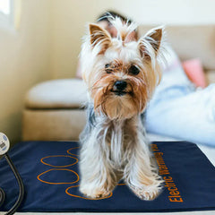 Waterproof Pet Heating Pad - Electric Winter Warmer Blanket 45×60cm