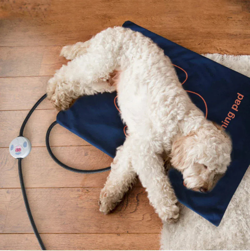 Waterproof Pet Heating Pad - Electric Winter Warmer Blanket 45×60cm