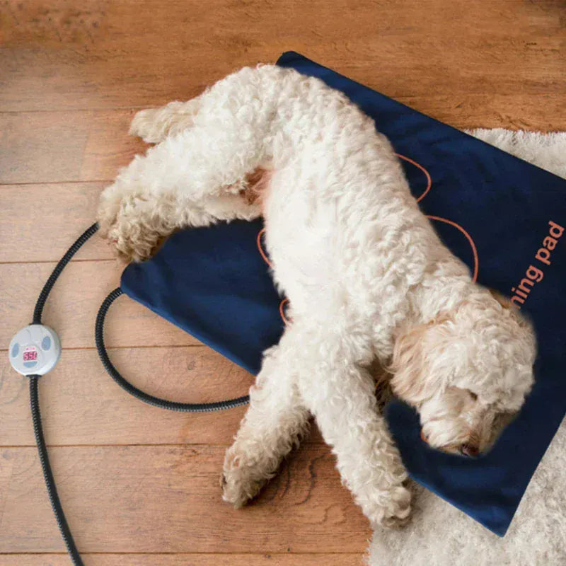 Dog sleeping peacefully on electric heating pad during winter
