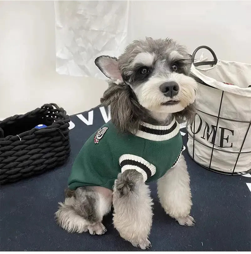 Winter Dog Sweater | College Style V-neck Knitwear for Small Dogs & Puppies – Cozy Puppy Vest & Kitty Jacket