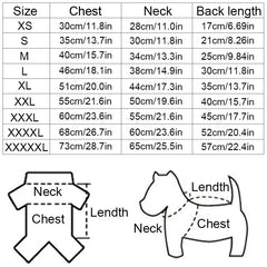 Winter Dog Sweater | College Style V-neck Knitwear for Small Dogs & Puppies – Cozy Puppy Vest & Kitty Jacket