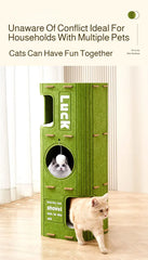 Cat sleeping peacefully inside warm enclosed cat house