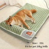Large orthopedic dog bed with memory foam supporting senior dog joints