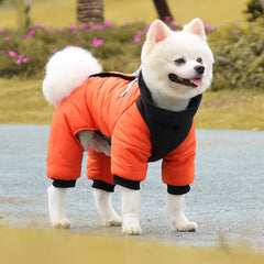 Winter Waterproof Dog Jacket for Small & Medium Dogs | Warm Puppy Coat for Chihuahua, French Bulldog, Pug
